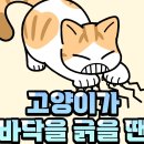 182. 고양이가 바닥을 긁는 이유! 이미지