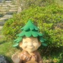 솔고개로 Daum카페