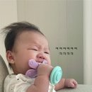 케이스하우스 | 꼬꼬노리 올인원 치발기 세트&amp;하우스 케이스 사용후기