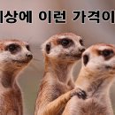 이마트안경원 이미지