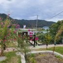 다보부동산중개사무소 이미지