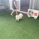 신명당구장 이미지