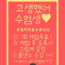 앨리캣폴스튜디오 이미지
