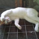 우리집농장 이미지