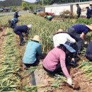 남면농협 이미지