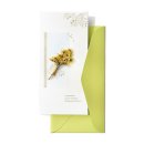 (주)씨노트 이미지