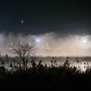 새벽 물안개 (영산강/영산포다리) 이미지