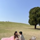 [로맨틱데이 스냅]서울 야외 웨딩 스냅 후기♡올림픽공원,잠수교
