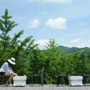 평안한치길 이미지