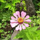 제주 올레길 19코스 이미지