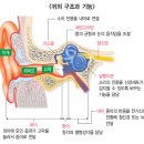 귀가편안한세상 이미지