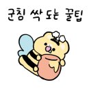 다희헤어아트 네이버블로그