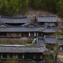 영천시 매산 고택과 산수정 Daum카페