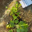 벼리농장 이미지