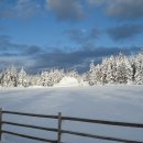 대관령목장 이미지