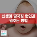 신생아 딸꾹질 원인과 멈추는 방법 이미지