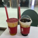 제주 여행일기 : 카멜리아힐, 한라산 둘레길, 동문시장, 함덕 해수욕장, 소노벨 리조트, 인생네컷