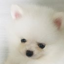 금비동물병원 이미지