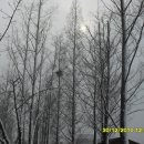 연지공원2 이미지