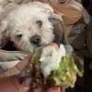 마포갈비식당 이미지