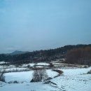 세종서점