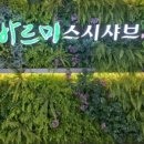 바르미 스시샤브 이미지