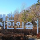 주식회사 누리숲 이미지