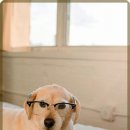 따뜻한 동물병원 이미지