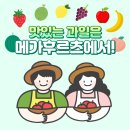 메가후르츠 네이버블로그