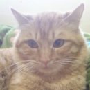 간석2동-14 이미지