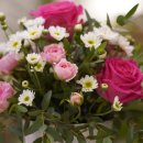 쟈뎅드마망 이미지