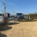 다올떡볶이 | [영종도] 무한리필 가성비 조개구이 '다올' 내돈내산 솔직후기 + 애견동반