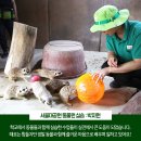 애완동물원 이미지