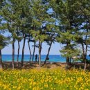 설악산파크식당 이미지