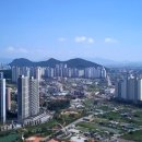 장유E편한세상 앞 도로 이미지