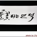 들꽃피는 언덕 이미지