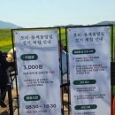 우정농장 | 고창여행 | '학원농장' 유채꽃&amp;청보리밭 축제 시작! 전에 다녀오기(4.16.방문)