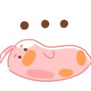 한국수지 이미지