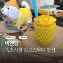 속초게랑회랑 | 비엔망 속초 중앙시장에서 꼭 먹어야 하는 망고 음료 솔직 후기
