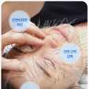 정안탕 네이버블로그