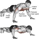 청년헬스 한림대점 이미지