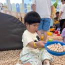 명지내과의원 | 부산 아이랑 가볼만한 곳 키즈카페 강서구 명지 대형키즈카페 : 몬스터 파크 명지점