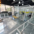 하루Dog(달이와 나나의 하루) 이미지