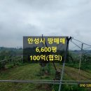 동탄산단스타공인중개사사무소 | 경기도 안성시 양성면 토지,땅매매 수원일등부동산