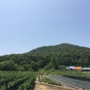 삼산면-4 이미지