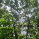 더샵분당파크리버.헬스케어혁신파크 이미지