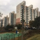 신창면 남성길 이미지