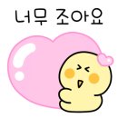 노은태권도 이미지