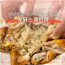 포닭스 이미지