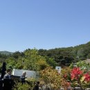 모지마을회관 이미지